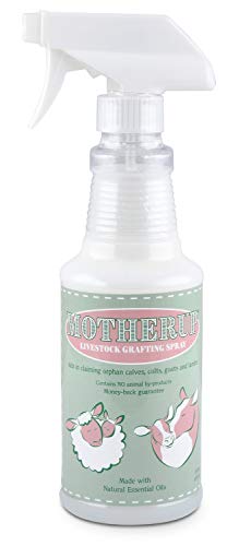 Bluestem, Llc MotherUp Livestock Grafting Spray