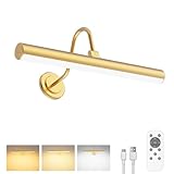Bridika Picture Light Battery Operated, Picture Light for Wall with Remote, 3 Color Modes and Dimmable Classic Art Lights for Paintings, Gallery, Dartboard, Bedroom, Bathroom with Timer Gold 1