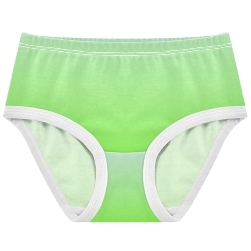 Joisal Elegant Blue Bright Green Gradient Cute Panties Girl Toddler Underwear Floral Cotton Cartoon Briefs Undies Kids 2t
