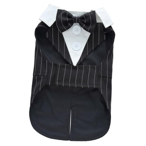 ARTSEWPLY p^LV[h ϖՐybgpX[c qpEFfBOX[c p[eB[tH[}ߑ ^p߉\^L