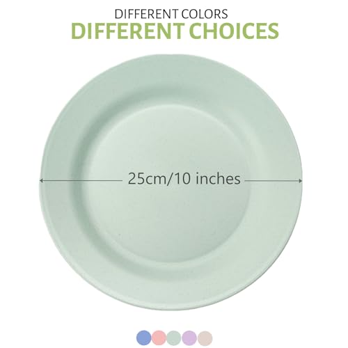 Orrdiffi Kunststoff Teller 25 cm Leichte Kunststoffplatten Unzerbrechliche Große Teller Mikrowellen und Spülmaschinenfest Speiseteller für Pizza,Pasta,Brot,Salat Plastikteller,Camping - Bunt