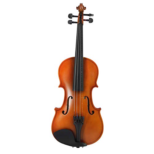 Violín económico Andolini 3/4 con Estuche y Arco