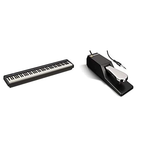 Roland Fp-10 Piano Digitale, Piano Digitale A 88 Tasti, Portatile, Ideale Per La Casa E L'Esercizio, Nero & M-Audio Sp-2 - Pedale Di Sustain Universale Per Tastiera In Stile Pianoforte