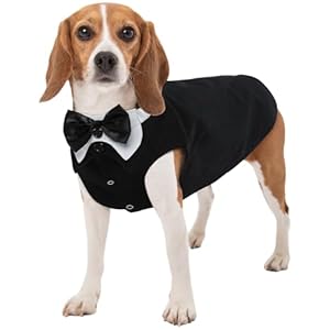 Kuoser Dog Tuxedo, 2 Pack Dog Suit and Bandana Set Formal Dog Tux Pet Wedding Outfit, Dog Costumes for Small Medium Large Dogs, Dog Halloween Christmas Outfit for Cosplay Birthday Party, Black, S Kuoser Dog Tuxedo 2 Pack Dog Suit and Bandana Set Formal Dog Tux Pet Wedding Outfit Dog Costumes for Small Medium Large Dogs Dog Halloween Christmas Outfit for Cosplay Birthday Party Black S