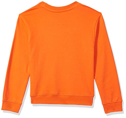 Image of U.S. Polo ASSN. Boys Sweatshirt