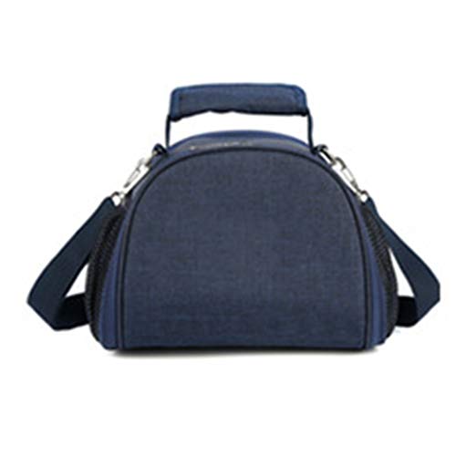 JSY Insulated Bag Portable Lunch Box Bag Picnic Portable Aluminum Foil Thickened Lunch Bag Large Waterproof Refrigerated Bag Picnic Bags (Color : C)