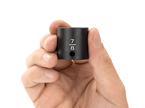 Image of TEKTON 3 /8 Inch Drive x 7 /8 Inch Shallow 12-Point Impact Socket | SID12222