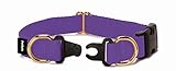 PetSafe KeepSafe  1-Inch Medium Break-Away Dog Collar, Deep Purple