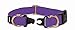 PetSafe KeepSafe  1-Inch Medium Break-Away Dog Collar, Deep Purple