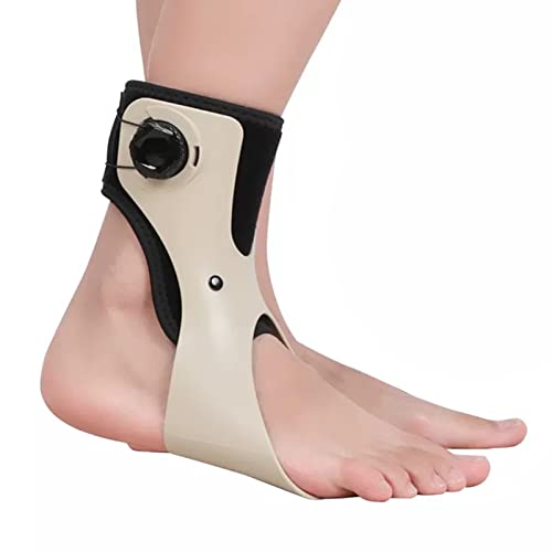 SFKLYU hbvtbgu[X AFO hbvtbgu[Xu[XT|[gЖე]CEH[LOp,A/right,S