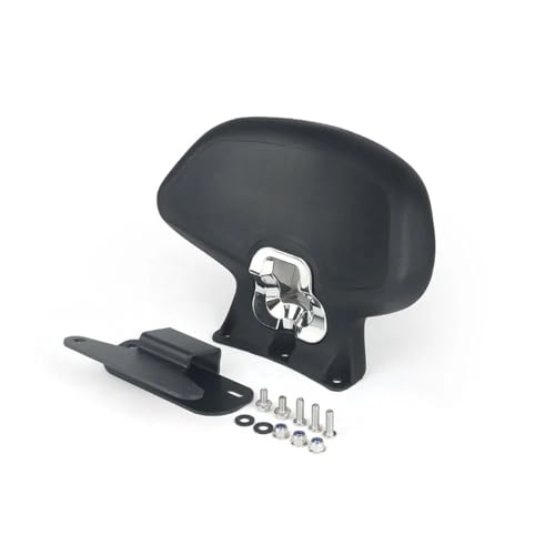 Dosserets coussin de dossier passager noir de haute finition