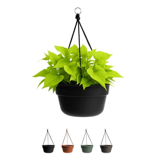 Bloem Dura Cotta Self Watering Hanging Basket Planter 12' Black