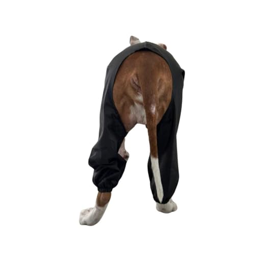 Capa De Chuva Para Cachorro Cães Roupa De Chuva Para Cachorro Cães Pet Capa Passeio Chuva com Cachor