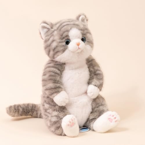 Aj} LWg lR  ӂӂ   CeA { Be n ObY q̓ VN̑蕨 v[g (45cm,A)