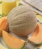 Cantaloupe Hearts of Gold Great Heirloom Vegetable by Seed Kingdom 50 Seeds