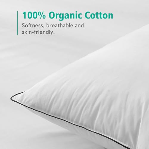 APSMILE Goose Feather Down Pillows -Set of 2 Soft Medium Bed Pillows for Sleeping 100% Organic Cotton Standard Size Hotel-Quality Pillows Insert for Stomach/Back Sleepers