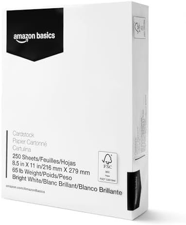 Amazon Basics Cardstock Paper, 8.5" x 11", 65 lb/176 gsm, 96 Brig...