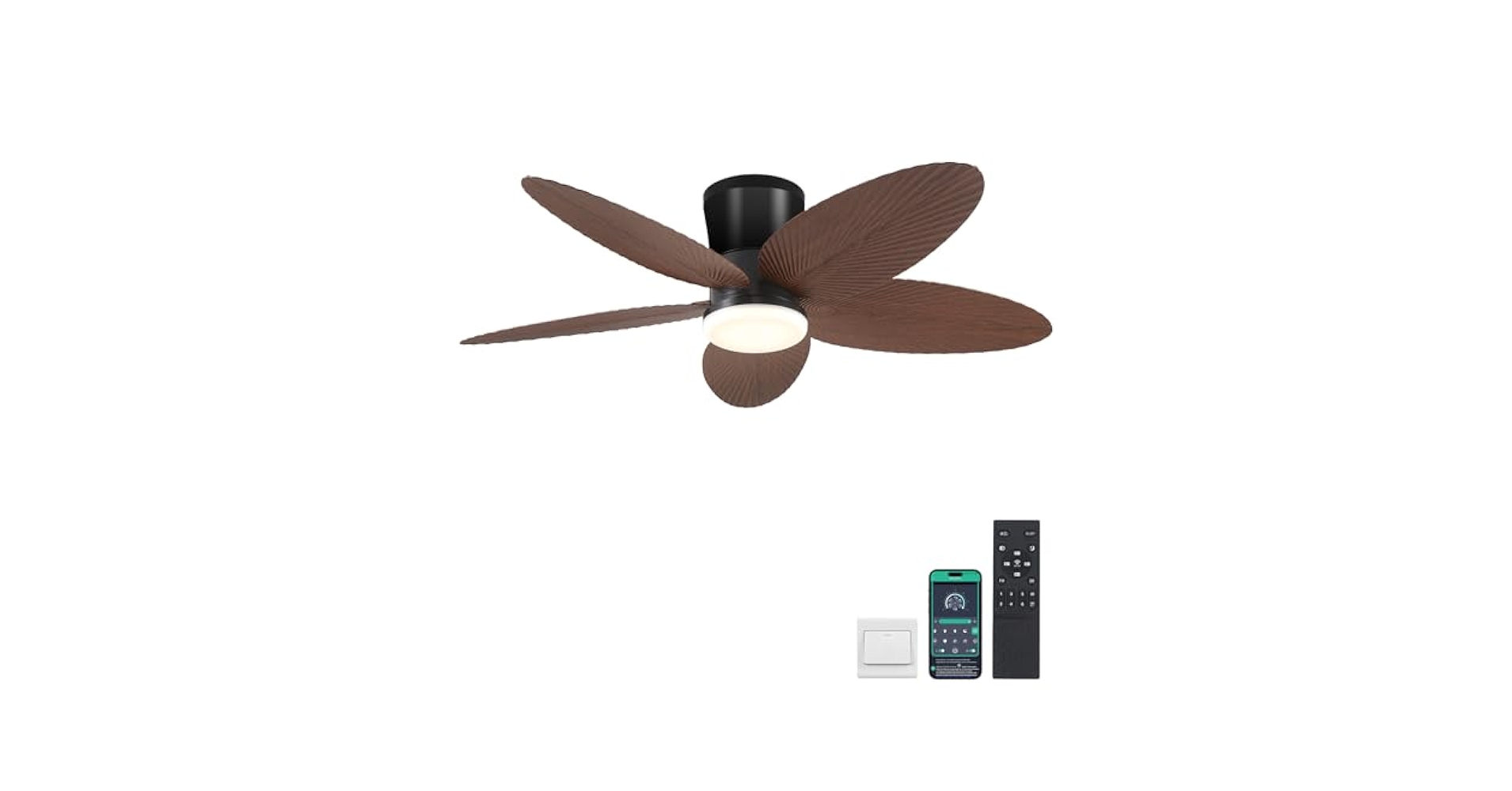 31TnAtPWfZL.jpg_BO30,255,255,