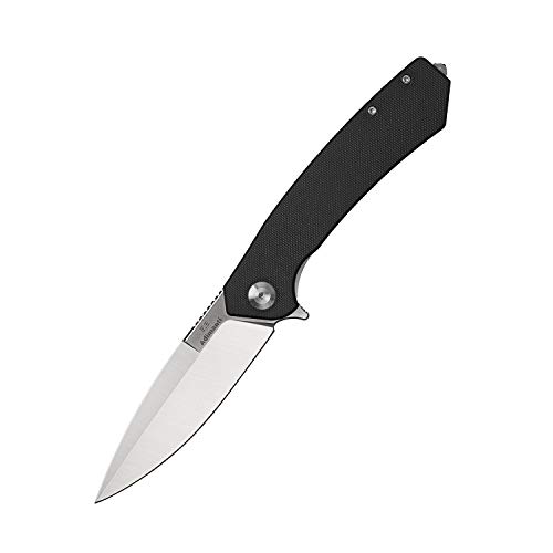 GANZO Firebird Adimanti Skimen Pocket Folding Knife G10 Handle with Clip and Glass Breaker D2 Steel Blade Hunting Fishing Camping Outdoor EDC Knife (Black)