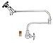 Fisher 72911 Residential Stainless Steel Pot Filler, Single Backsplash, 12" Swing Spout, 7" DJ