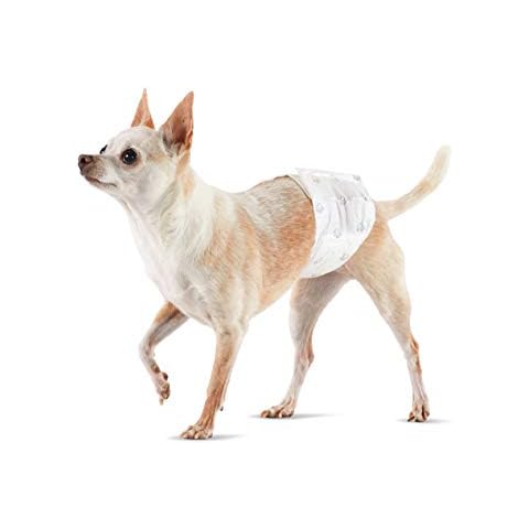 Amazon Basics Einweg-Hundewindeln für Rüden, Gr. XS, 30 Stück Cover