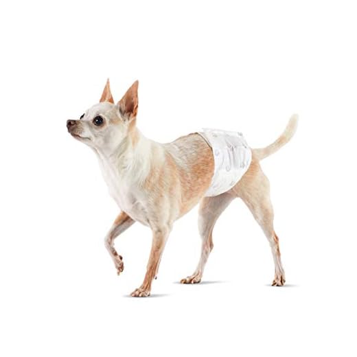 Amazon Basics - Pañal desechable para perro macho, XS, paquete de 30 unidades