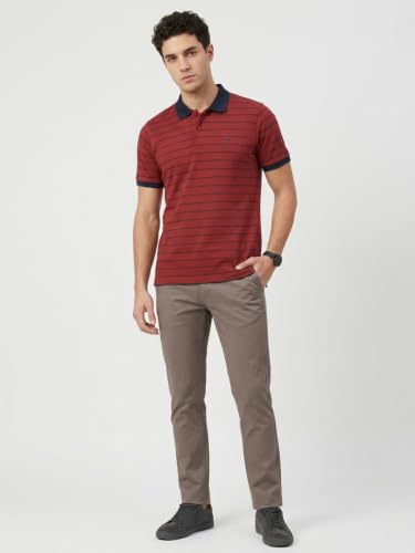Image of Park Avenue Men Slim Fit Stripe Pattern Pure Cotton Polo Neck Half Sleeve Casual T-Shirt