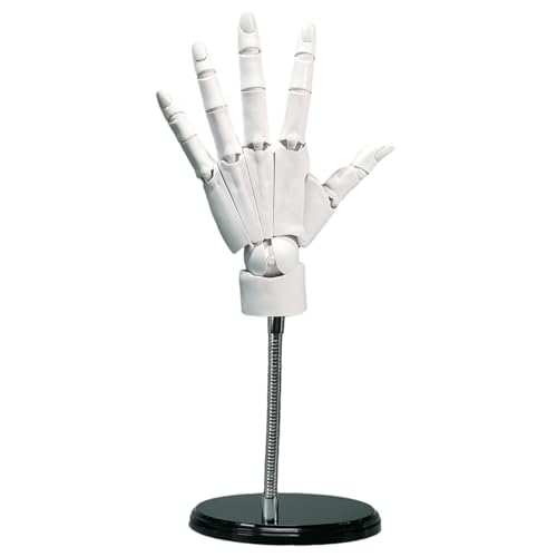 Main articulée 8x14 pouces avec articulation mobile et base de soutien - 2