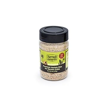 bird food for Hermit Thrushes