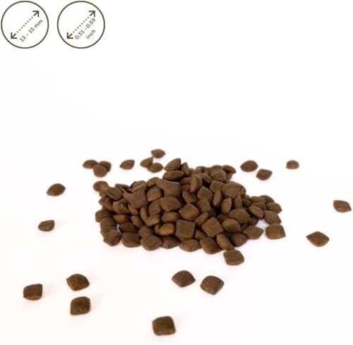 Nature's Protection Superior Care White Dog Glutenfrei Getreidefrei Trockenhundefutter Für alle Größen von Jungen Hunden mit hellem Fell, Weißfischmehl Größere Brocken 4kg.