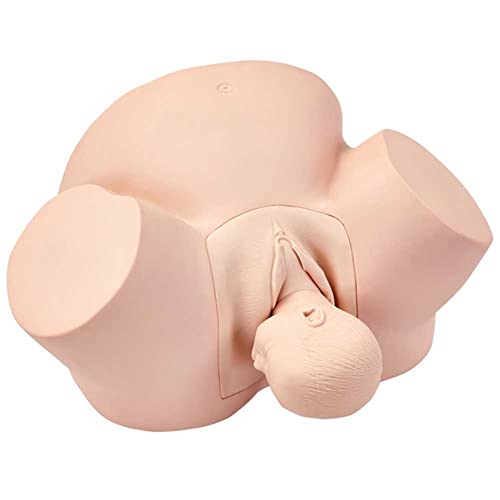 Simulateur d'accouchement modèle d'enseignement fœtal en PVC pour école - 2