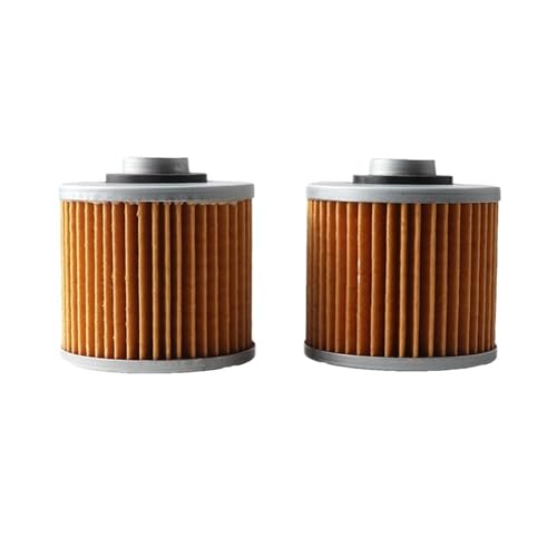 Filtro de aceite XVS650 y XV250, kit de recambio de 2 piezas para moto