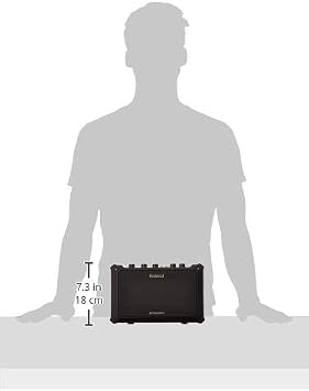 Roland Mobile-AC Portable Battery Powered Acoustic Guitar Amplifier