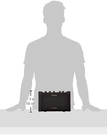 Roland Mobile-AC Portable Battery Powered Acoustic Guitar Amplifier