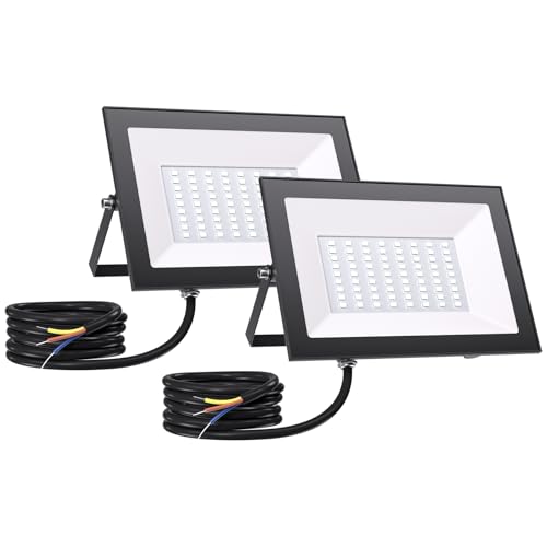 Allin Foco Led Exterior 50W, IP66 Impermeable Foco Proyector LED, Blanco Frío 6500K 5000 Lumen, Superbrillante Floodlight，para Patio, Garaje, Entrada, Fábrica, Campo, 2 piezas