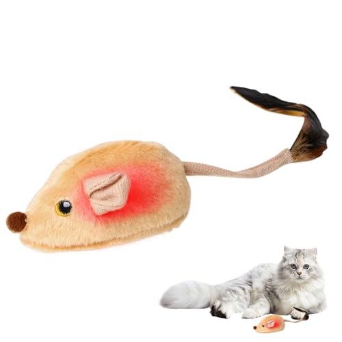 LpC^NeBu - [d  œ lY~̂ - C^NeBu  L ^ g[jO V | nEB NX}X g[jO ^ V