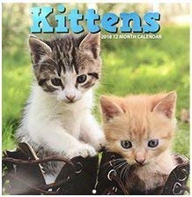 Kittens 2018 12 Month Calendar