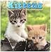 Kittens 2018 12 Month Calendar