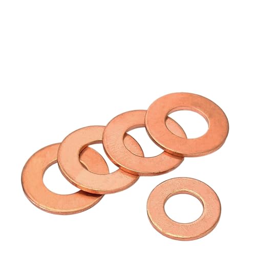 �ԓ��^�J M3 M4 M5 M6 M8 M10 M12 M14 M16 M18 M20 M22 M24 M27 M30 �N���b�V���V�[�����O���b�V���[ �t���b�g�V�[�������O�K�X�P�b�g(M4x6x1 (50pcs))