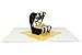 Tarjeta pop up 3D anillos de boda, anillos de compromiso, especial y...