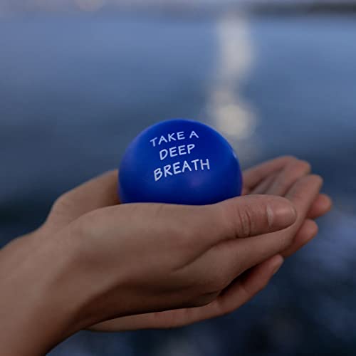 Elibia Set Of 3 Motivational Stress Balls For Adults And Kids - Hand Exercise Balls Grip Strengthener Hand Therapy Ball - Squishy Stress Balls For Adults Anxiety Stress Relief Toys For Teens #TOP1