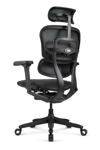 Image of Ergohuman LE9ERG Executive High Back Leather Swivel Office Chair with Tilt Tension Control, Tilt Lock, Synchro Tilt, Seat Height & Depth, & Arm Height Adjustments, Matte Black Frame