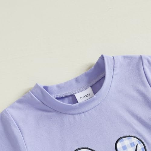 Image of Toddler Baby Boy Easter Rabbit Outfit Short Sleeve Bunny Carrot Smocked T-shirt Elastic Waist Shorts Summer Clothes