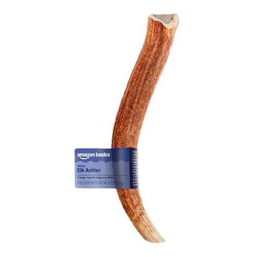 Amazon Basics Elk Antler - Whole - Long Lasting for Aggressive Chewers - X-Large 9.5-10.5 inches (Best for Dogs Over 45 lbs) (Previously Wag)