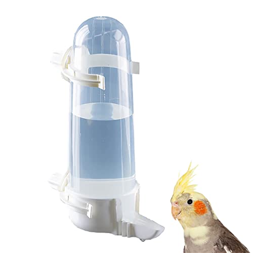 Top 10 Bird Cage Water Dispenser of 2022 Katynel