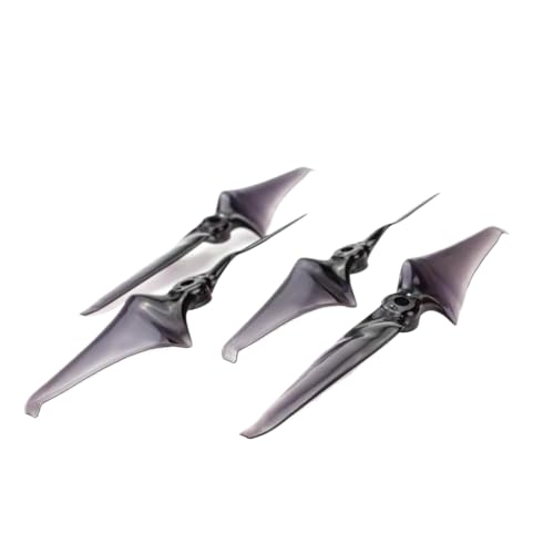 Hélices Emax AVAN 6038 pour filmer des paysages grandioses en extérieur
