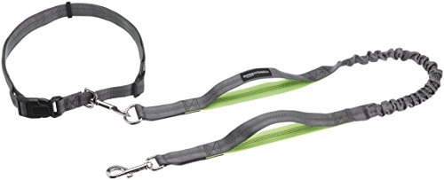 Amazon Basics Double Handle Padded Dog Leash, 3-Foot, Green Amazon Basics Double Handle Padded Dog Leash, 3-Foot, Green