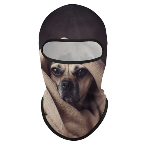 Balaclava para Hombres, Máscara de Esquí, Cubreboca para Ciclismo y Otras Actividades al Aire Libre miniatura 1