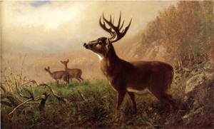 Peinture à l'huile A Tempting Shot reproduction luxe Arthur F Tait