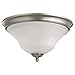 Sea Gull Lighting 75381-965 2-Light Flush Mount Fixture, Satin Etched Glass Shade and Antique Brushed Nickel